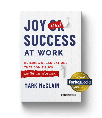 Joy and Success at work book cover